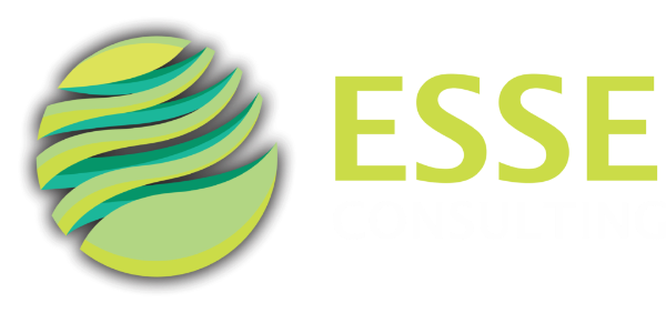 ESSE Consulting